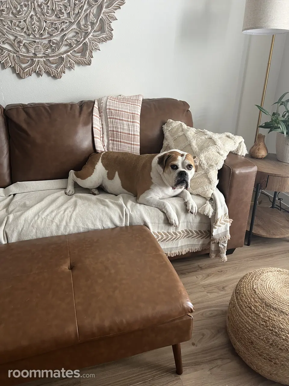 Profile photo 7 of 9