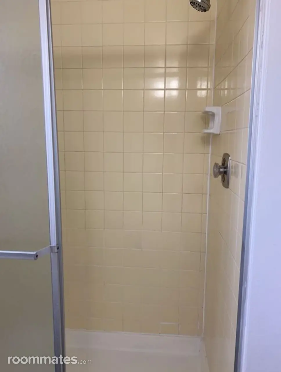 Profile photo 8 of 12