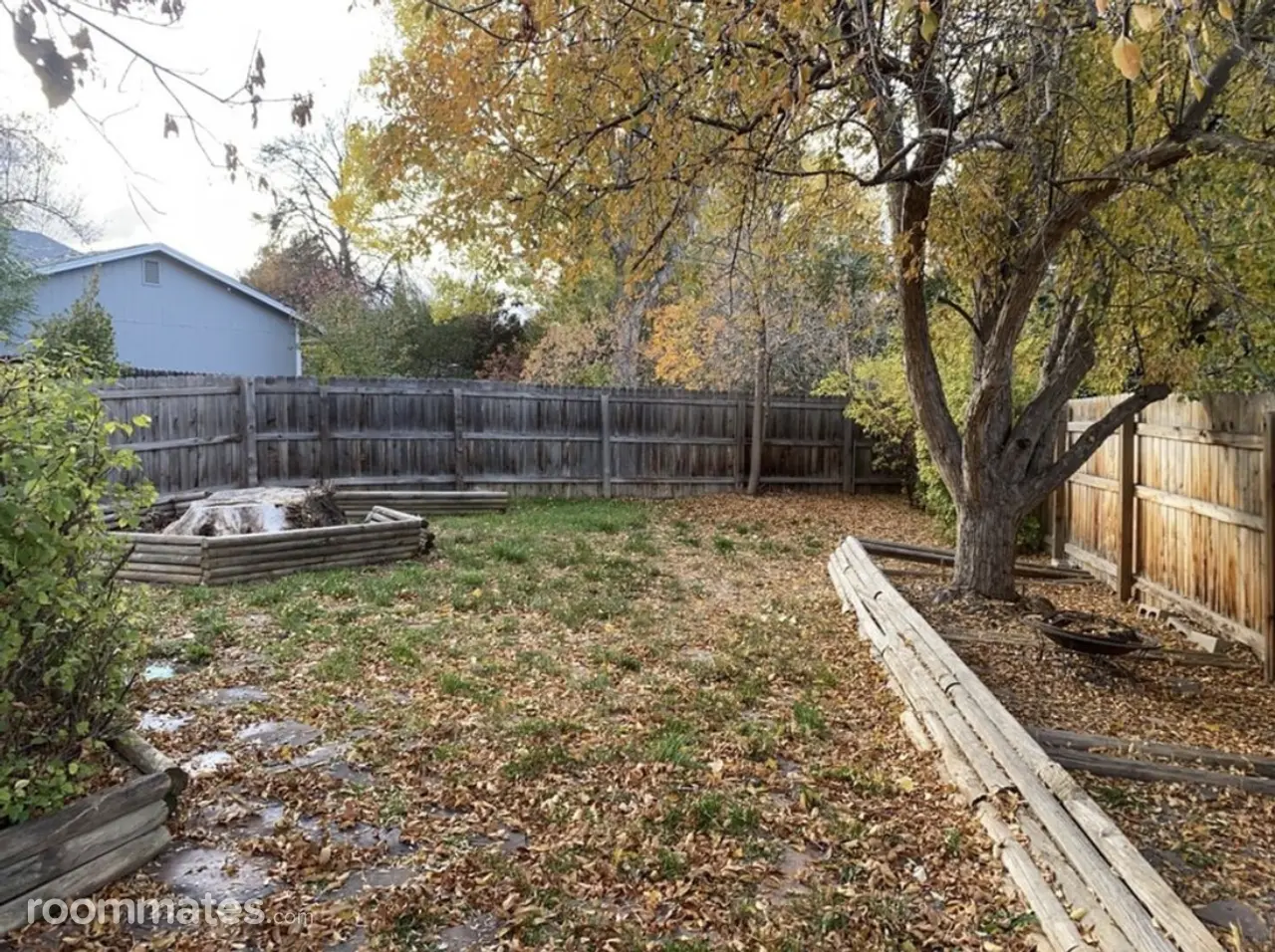 Profile photo 3 of 12