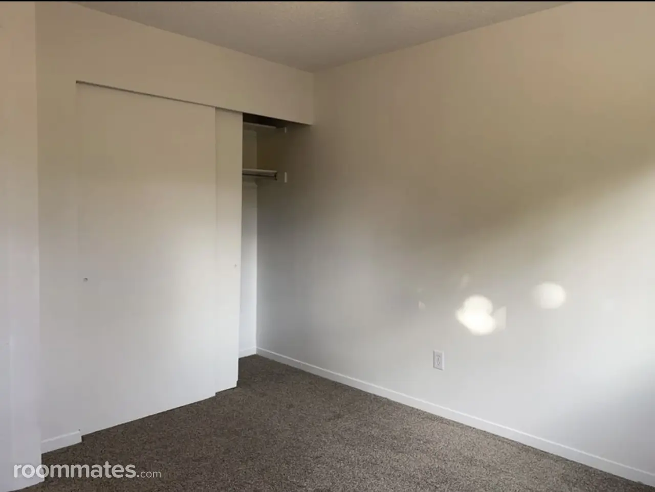 Profile photo 5 of 12