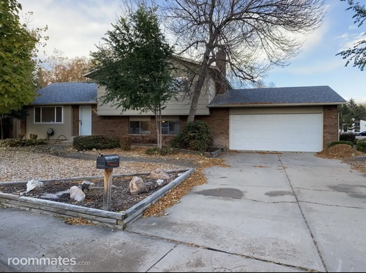 Profile photo 1 of 12