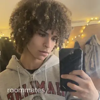 Roommate looking St. Paul, MN, $700