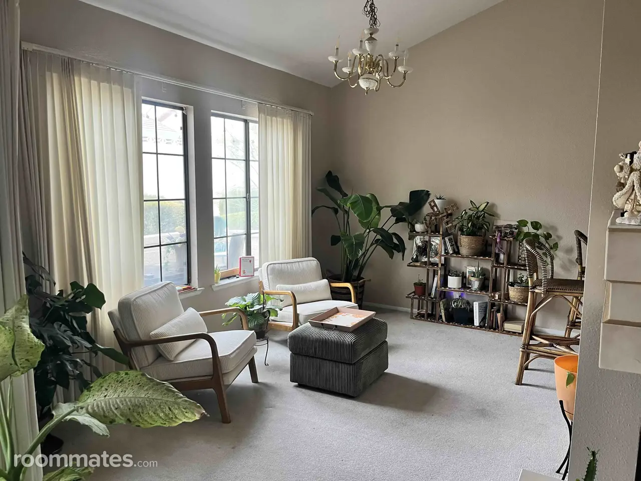 Profile photo 2 of 8