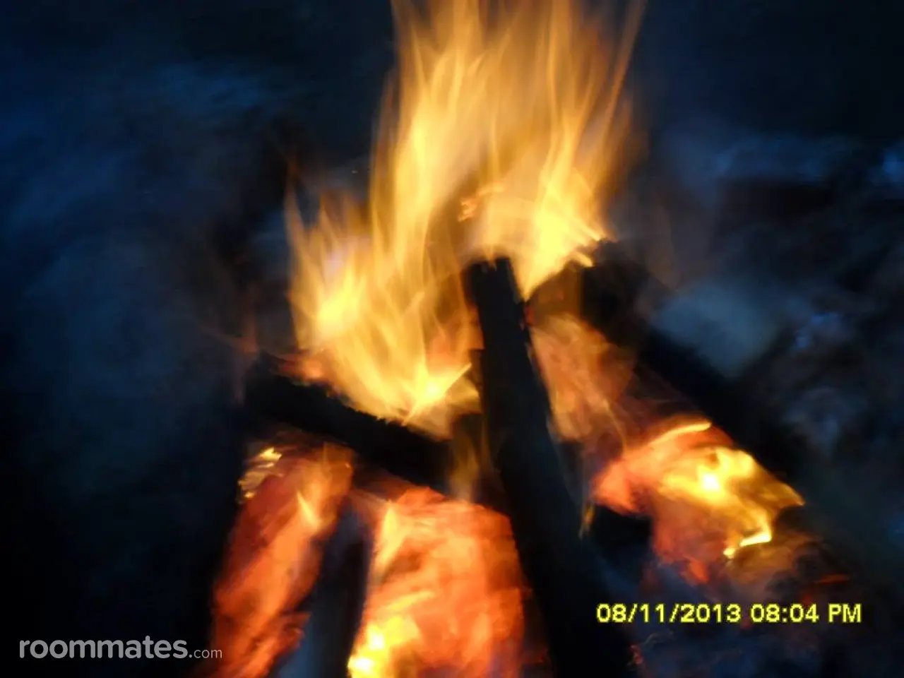 Profile photo 1 of 1