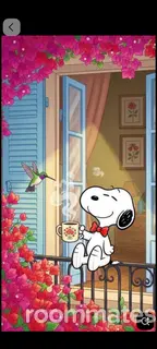 Roommate looking Lynn, MA, $1500