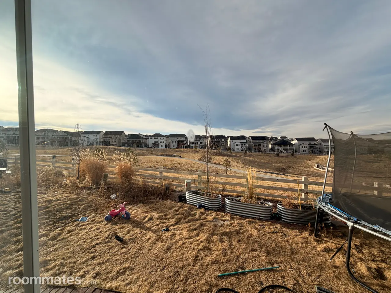 Profile photo 7 of 8