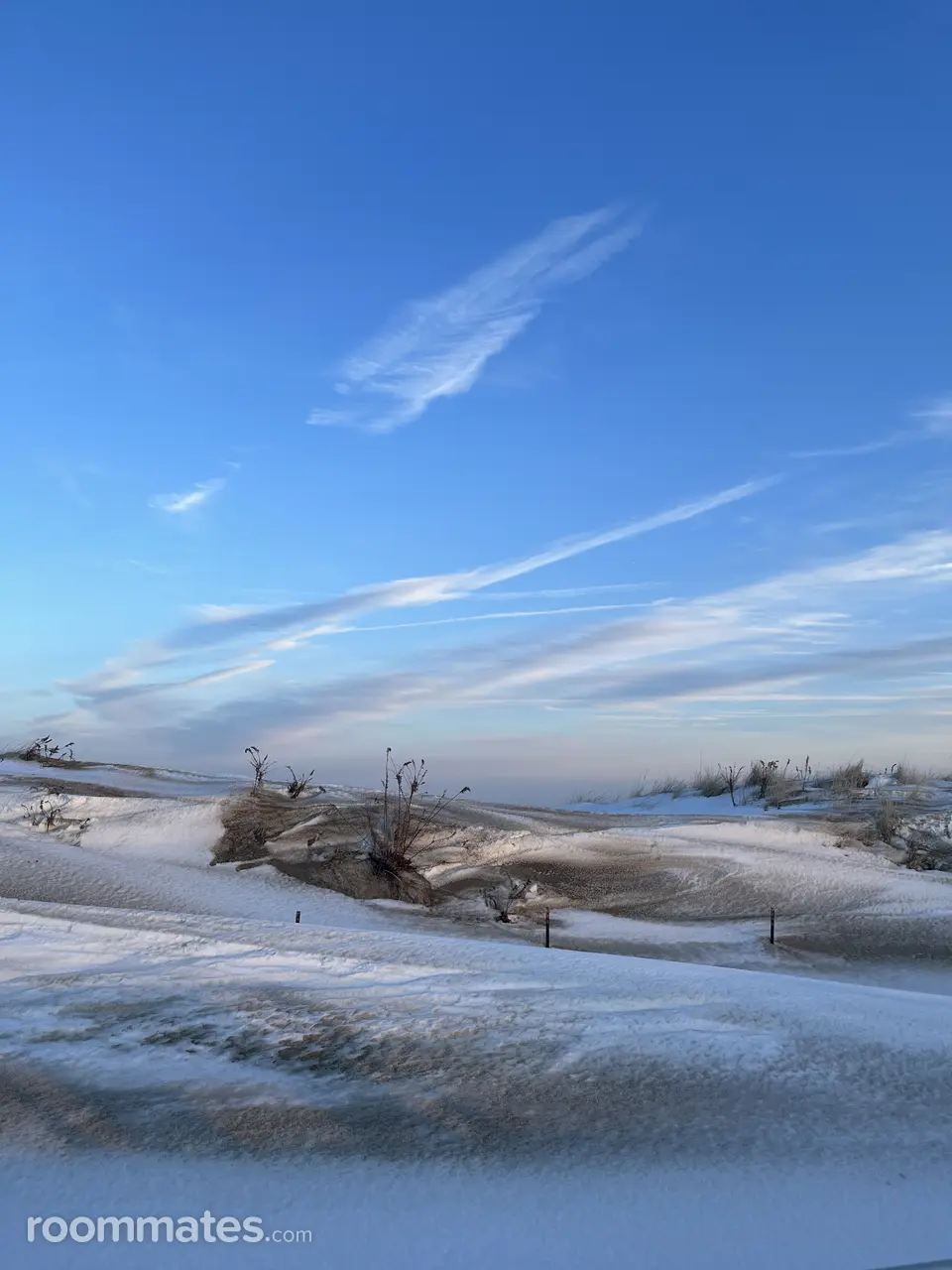 Profile photo 6 of 6