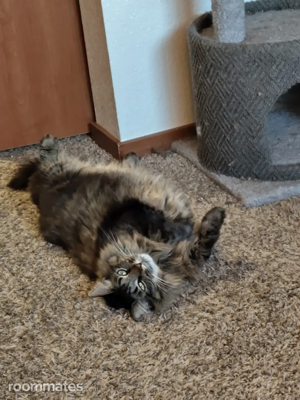 Profile photo 4 of 5