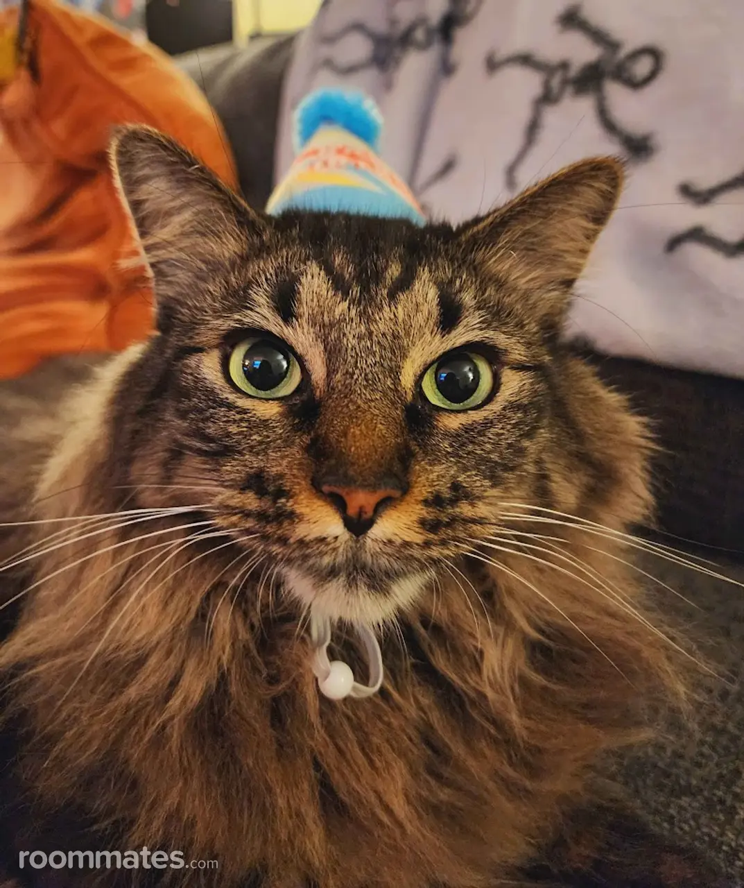 Profile photo 5 of 5