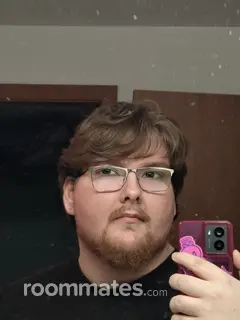 Roommate looking Olympia, WA, $900