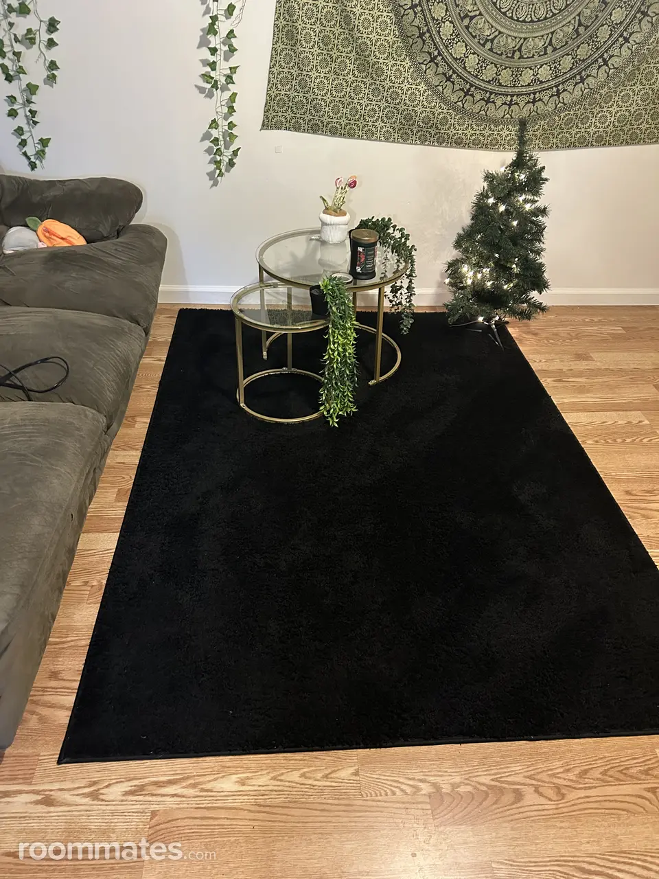 Profile photo 4 of 15