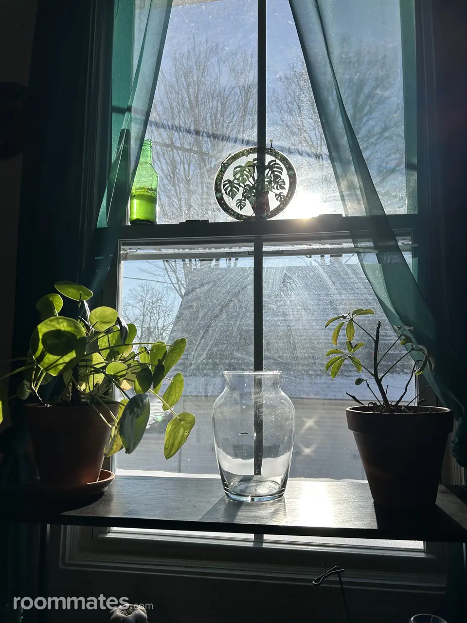 Profile photo 5 of 15