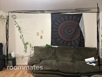 Room for rent in Colchester, CT $950, apartment