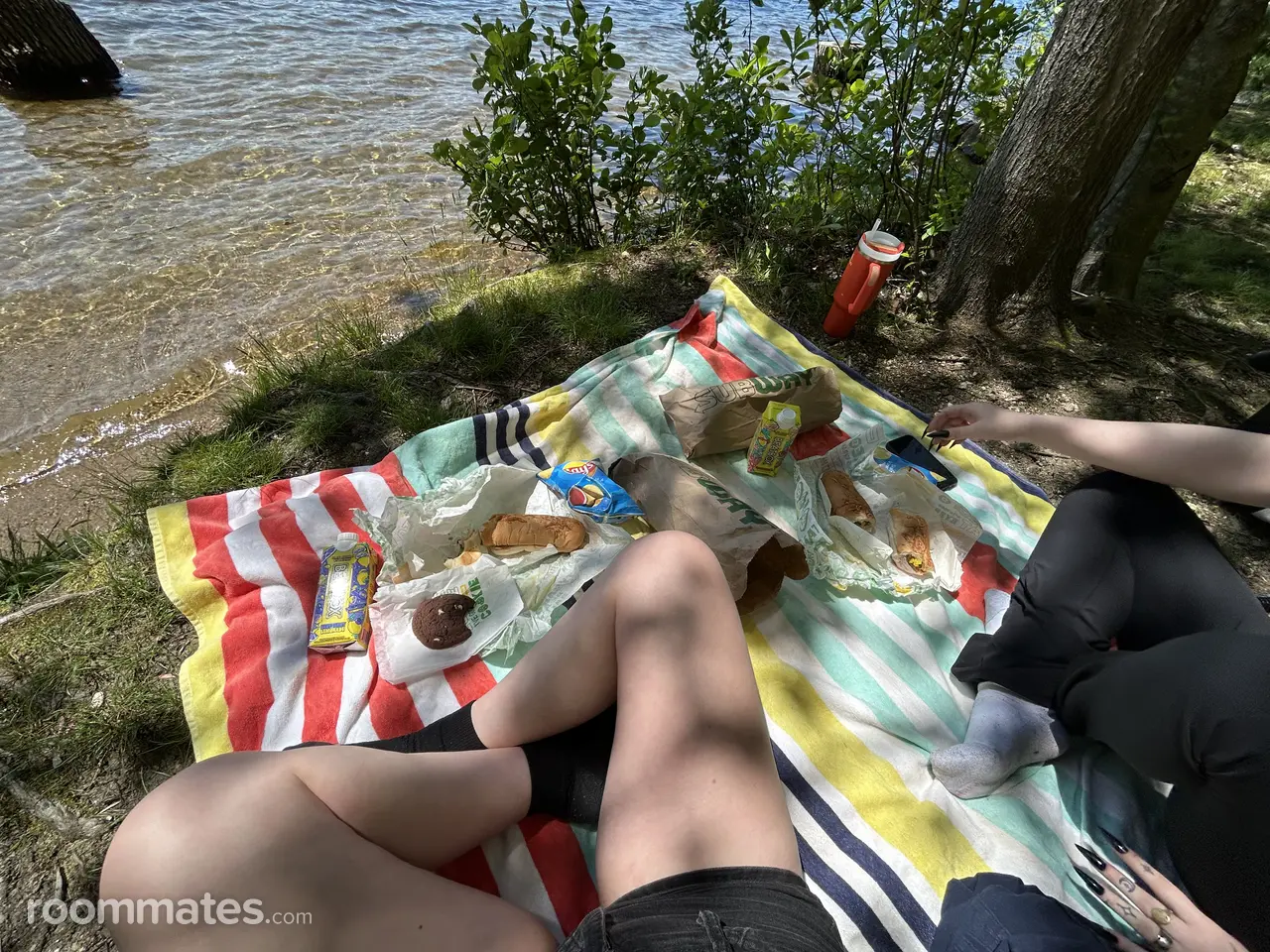 Profile photo 12 of 15