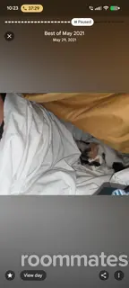 Roommate looking New Castle, DE, $800