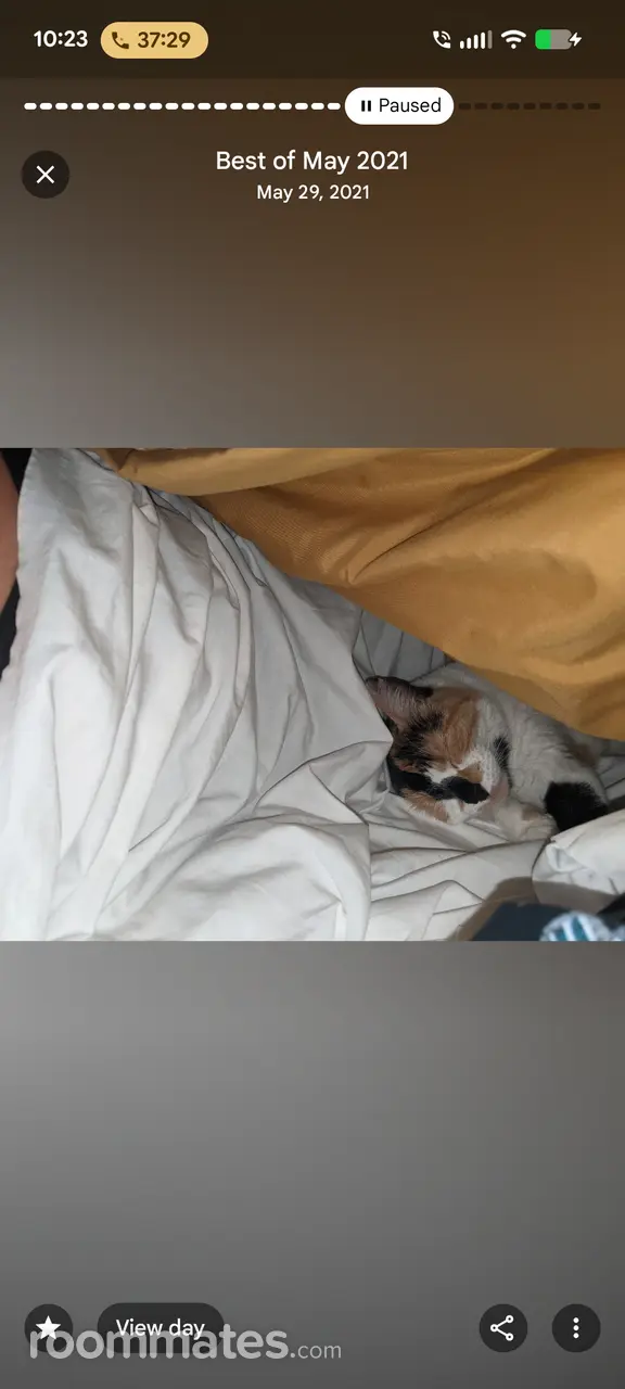 Profile photo 1 of 1