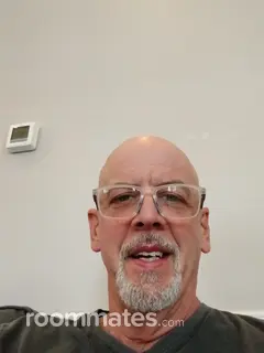 Roommate looking Taylors, SC, $800