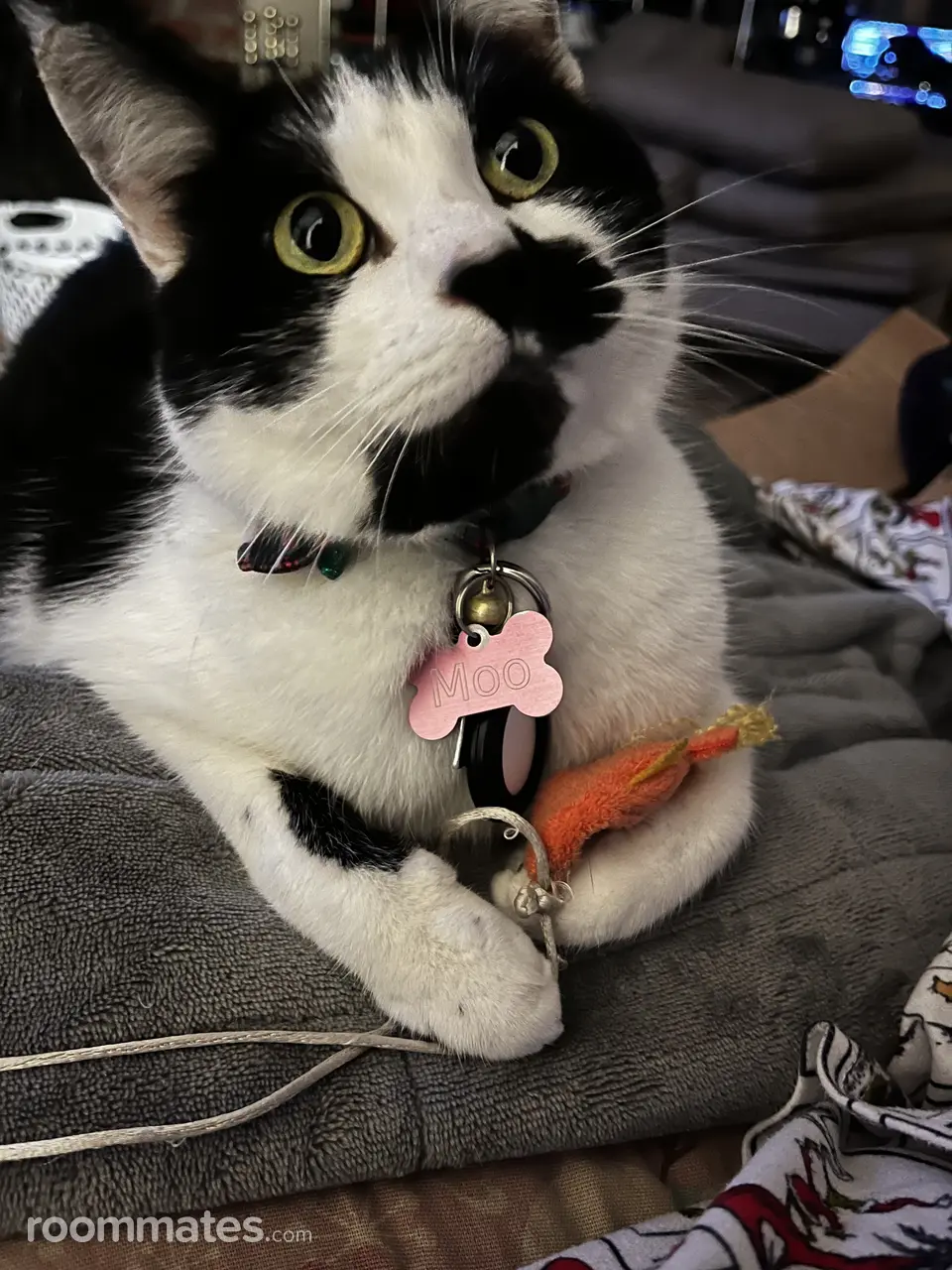 Profile photo 4 of 6