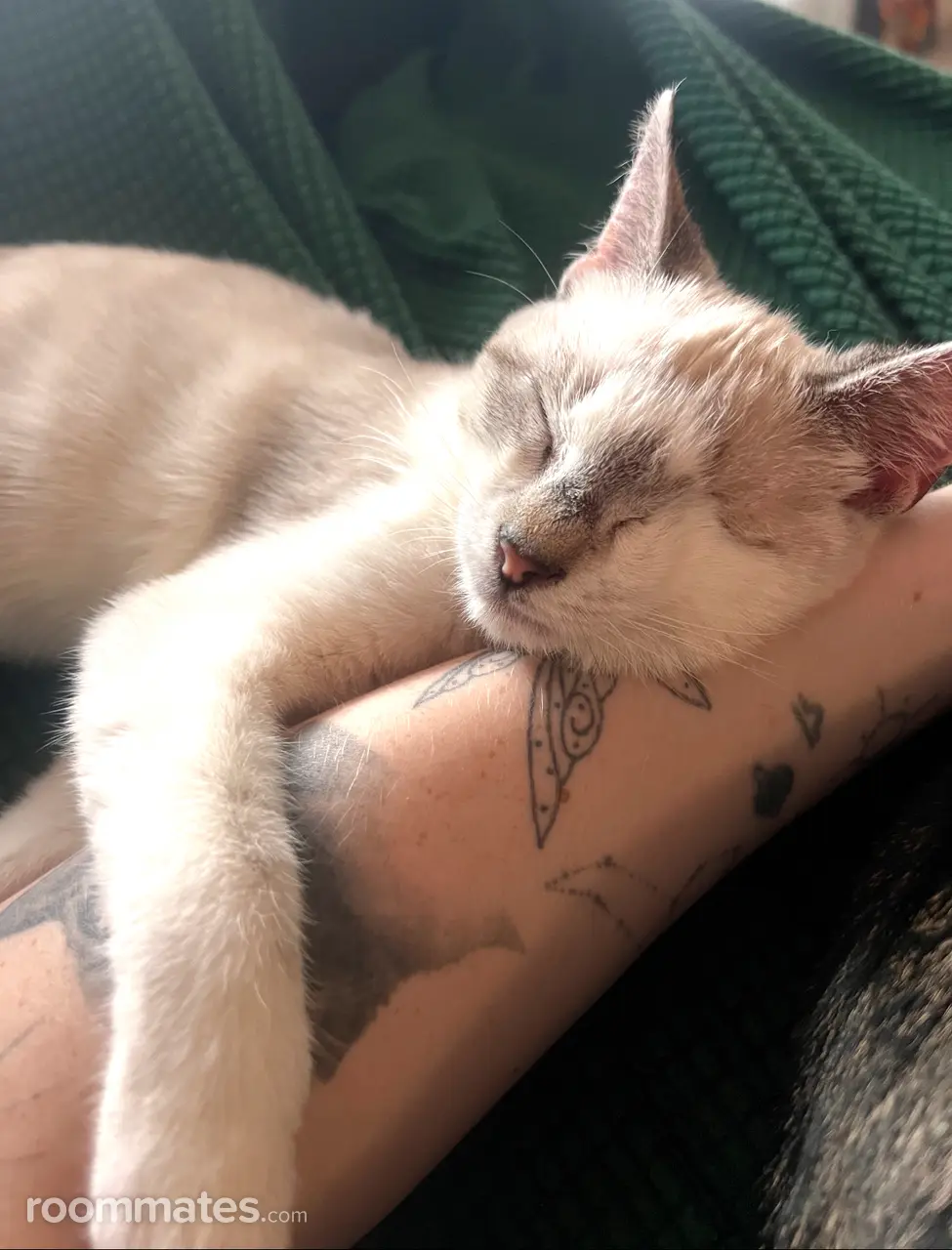 Profile photo 7 of 8