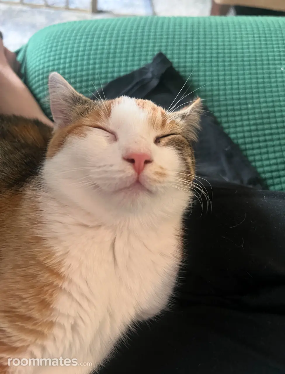 Profile photo 3 of 8