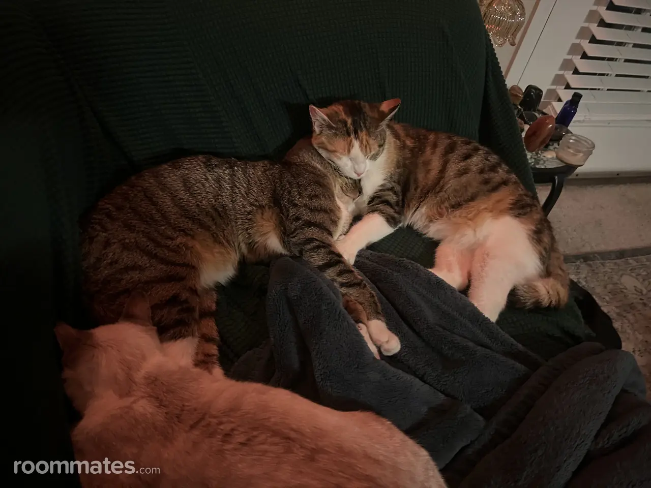 Profile photo 8 of 8