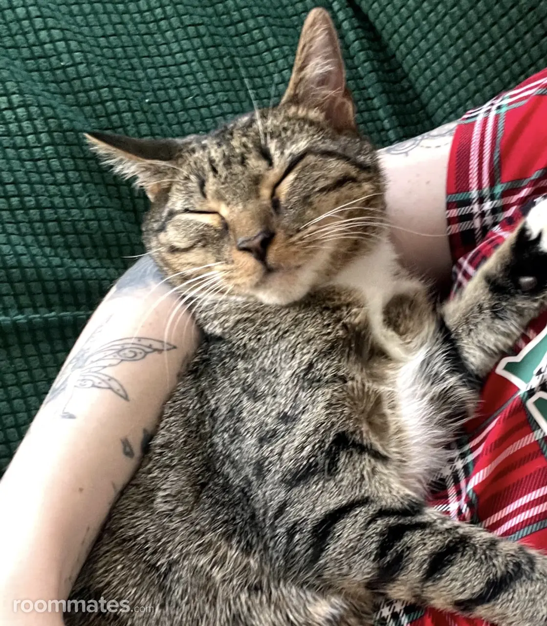 Profile photo 2 of 8