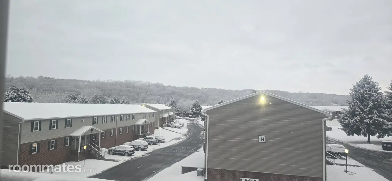 Profile photo 1 of 2