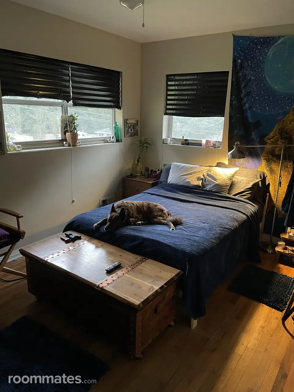 Profile photo 7 of 11