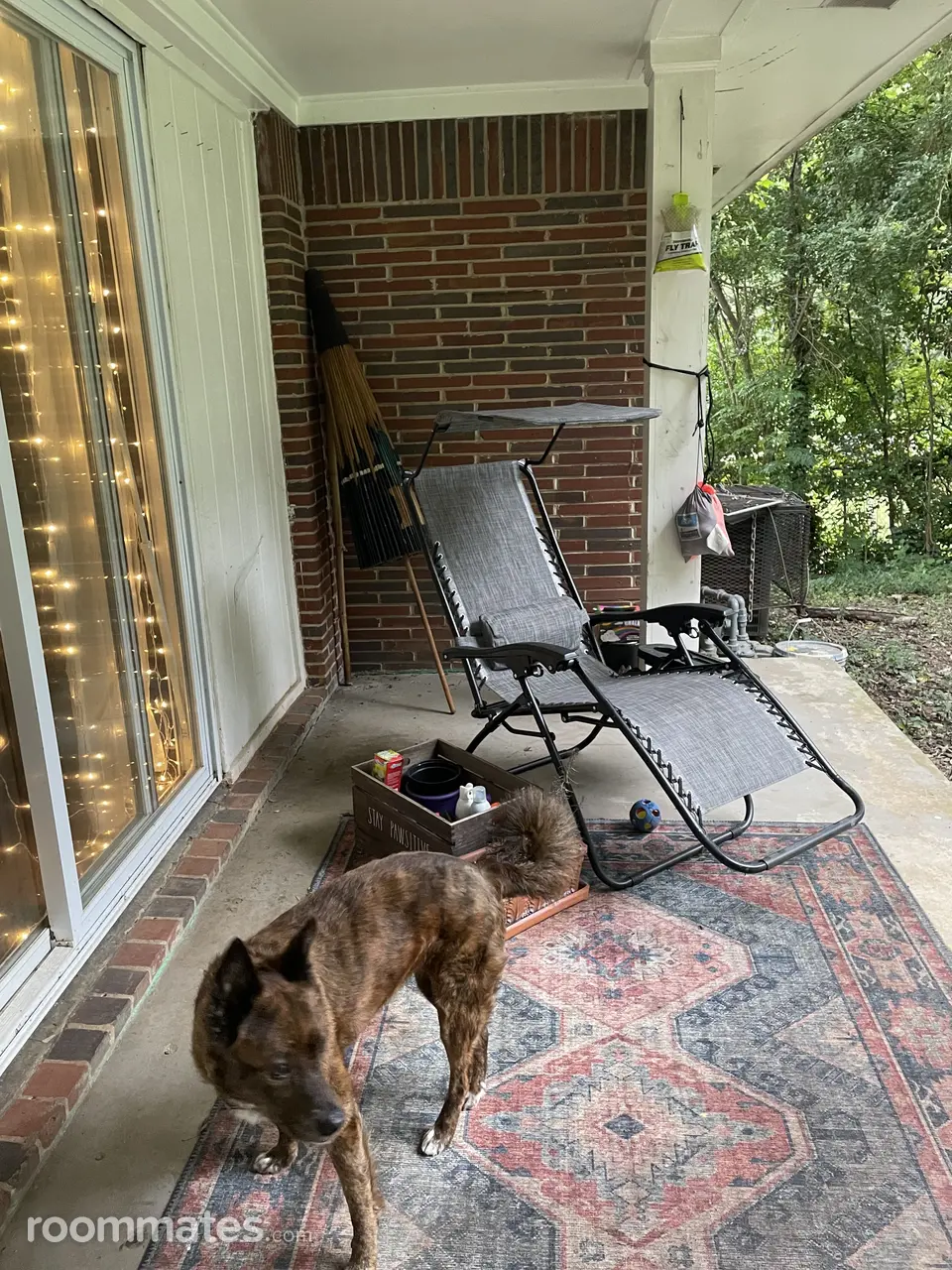 Profile photo 6 of 11