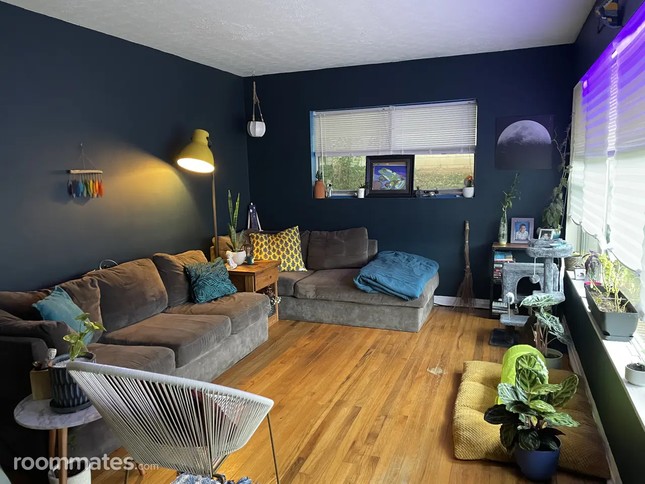 Profile photo 3 of 11