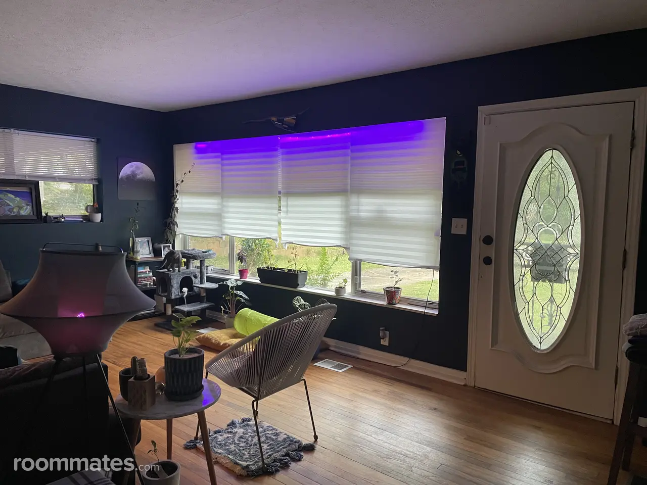 Profile photo 1 of 11