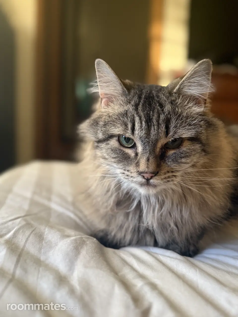 Profile photo 3 of 4