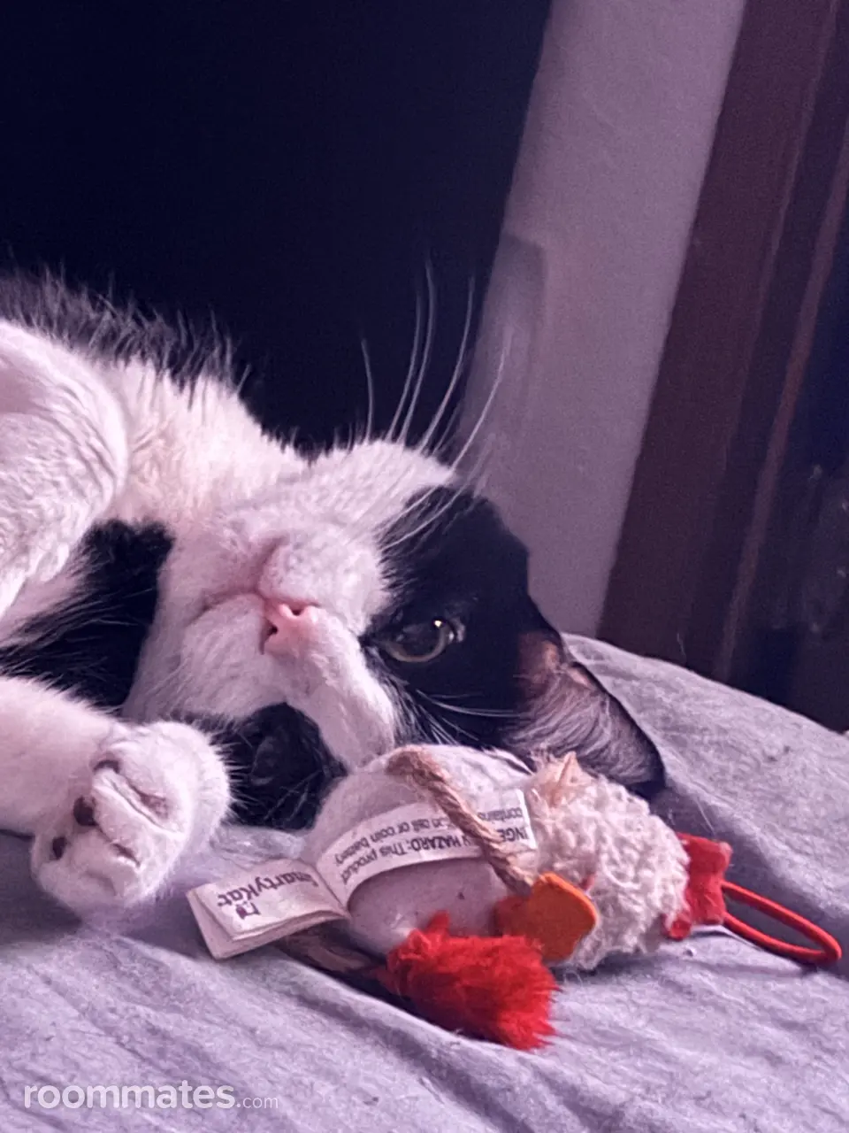 Profile photo 2 of 4