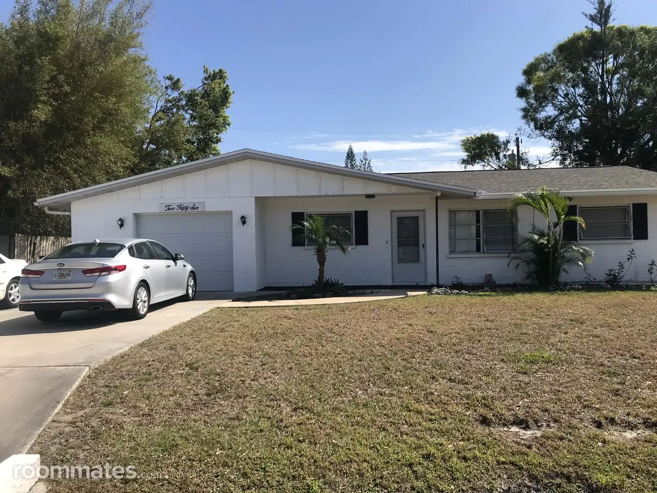 Profile photo 4 of 11