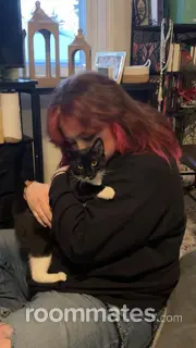 Roommate looking Manchester, NH, $1000