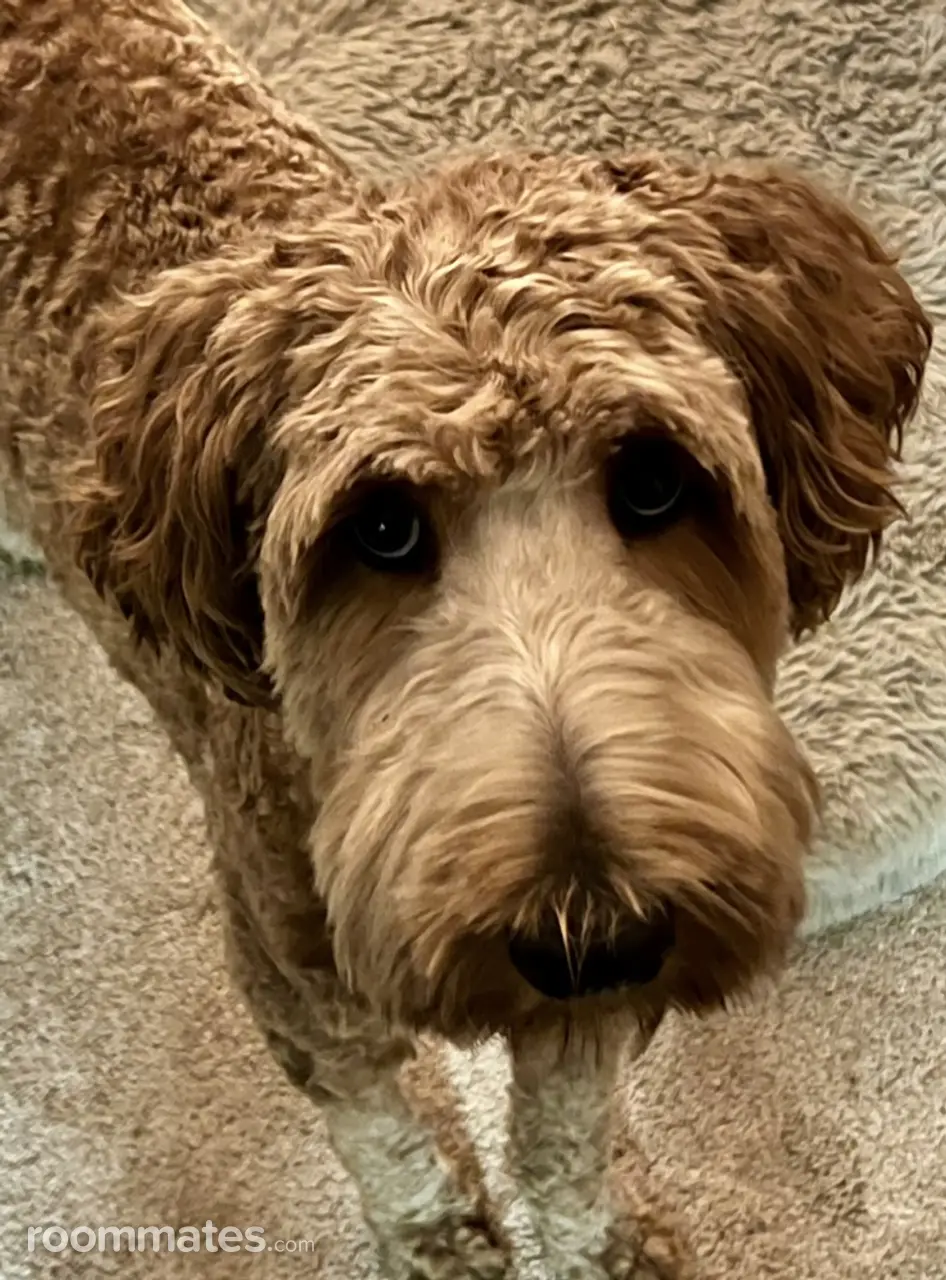 Profile photo 12 of 14