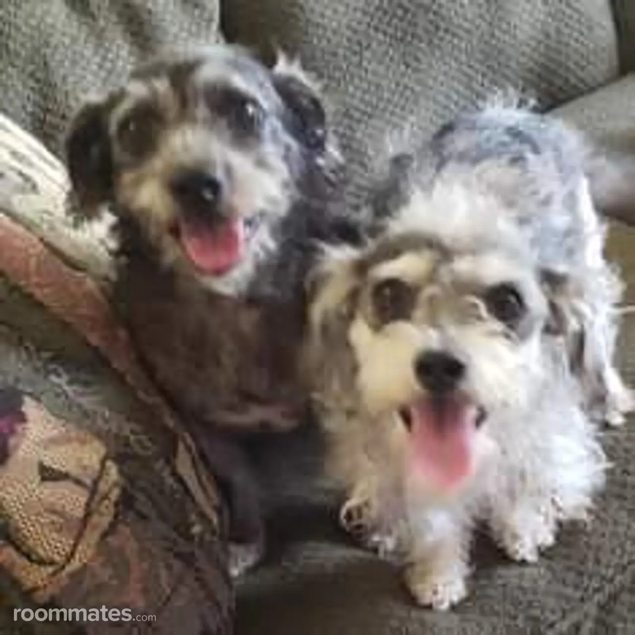 Profile photo 13 of 14