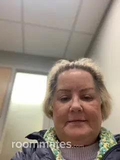 Roommate looking Newport, RI, $700