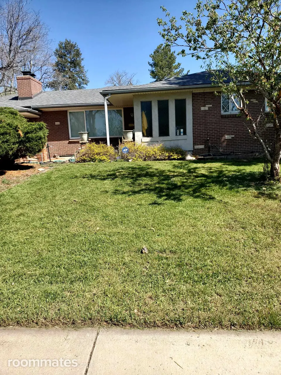 Profile photo 9 of 10