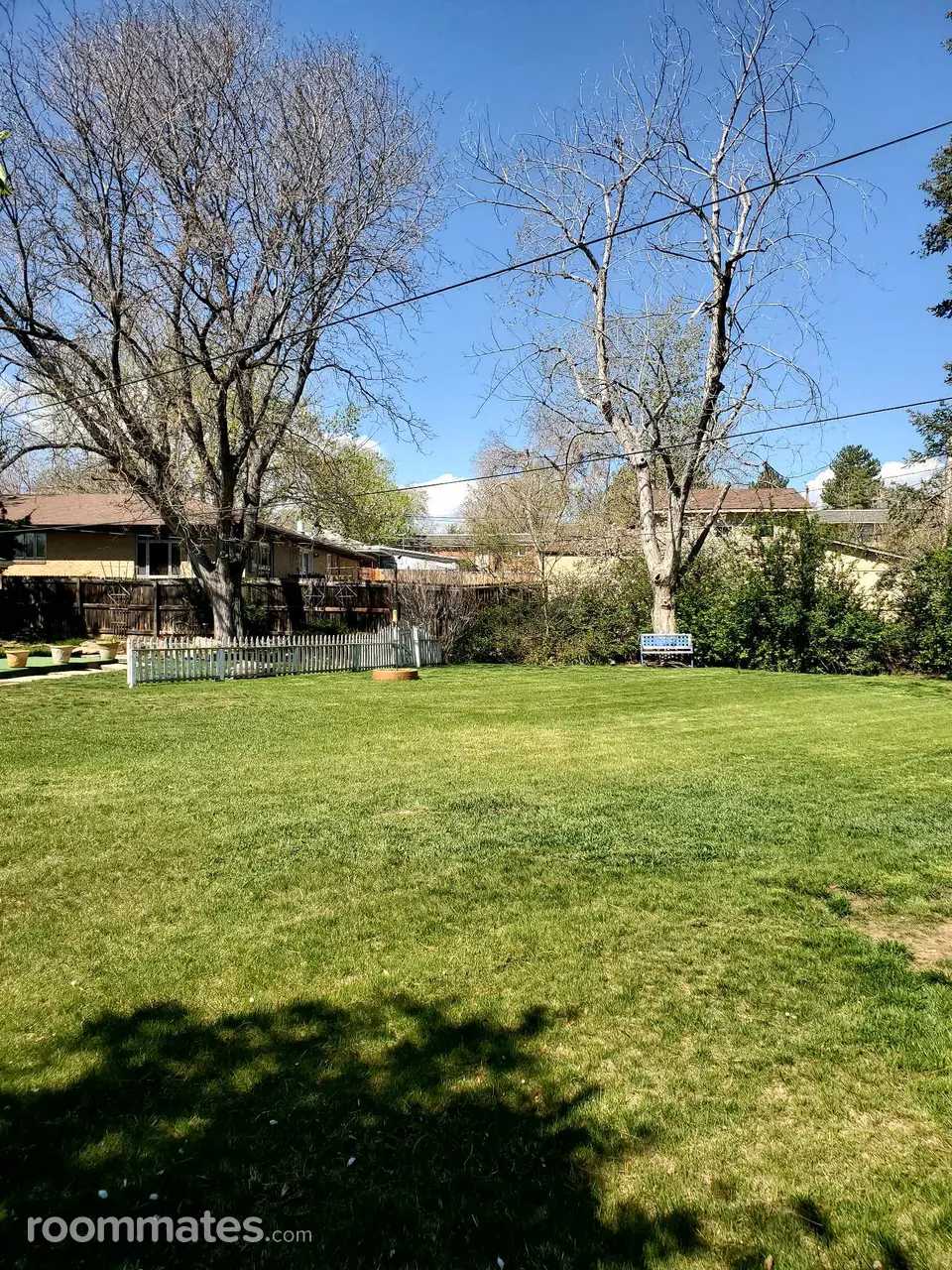 Profile photo 8 of 10