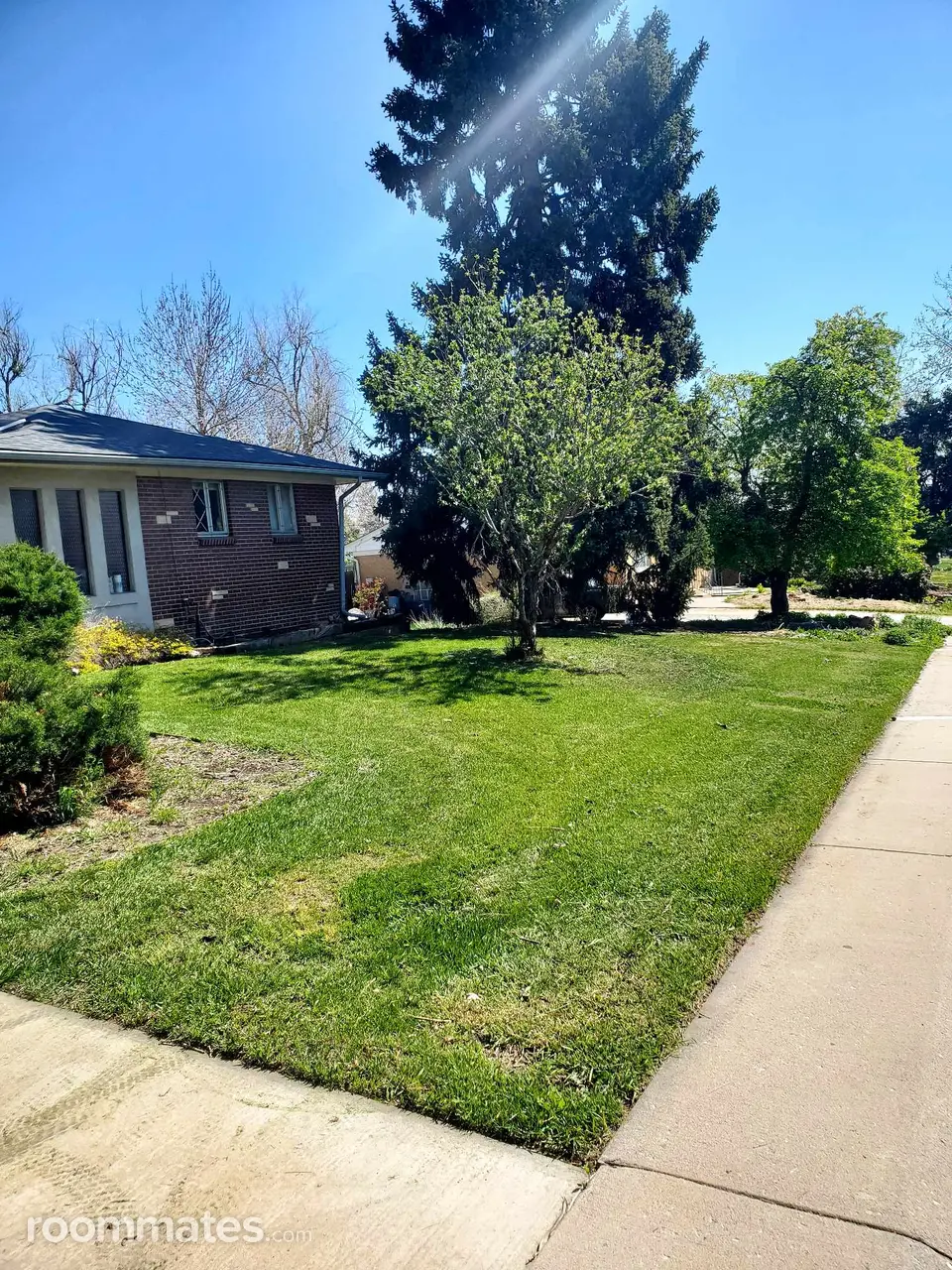 Profile photo 5 of 10