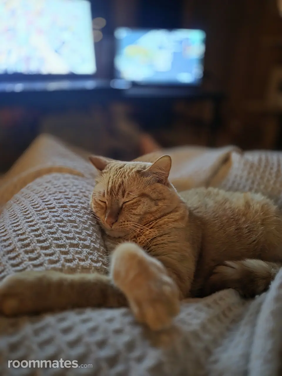 Profile photo 10 of 10