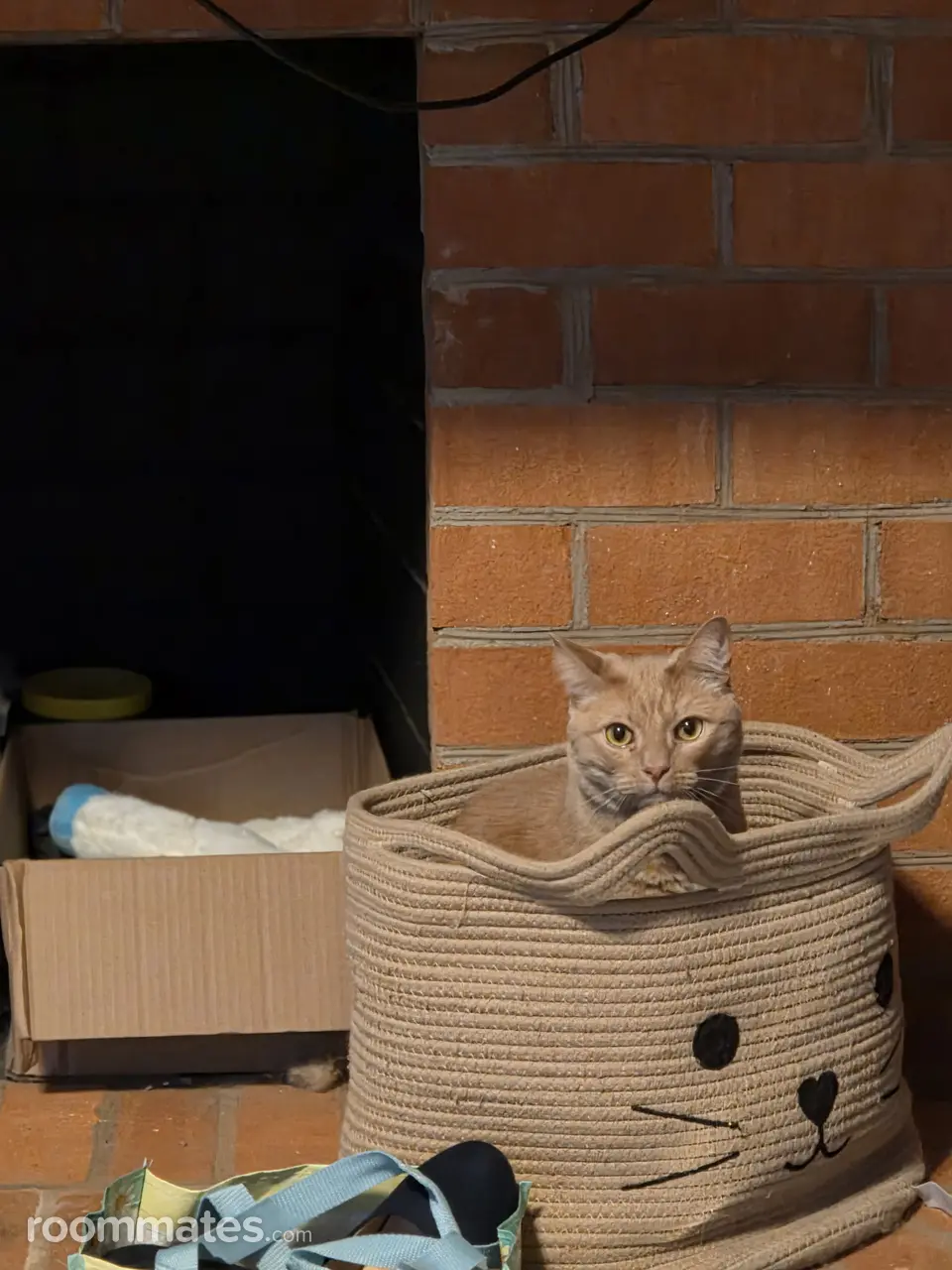 Profile photo 9 of 10