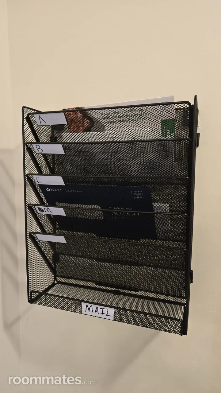 Profile photo 3 of 11