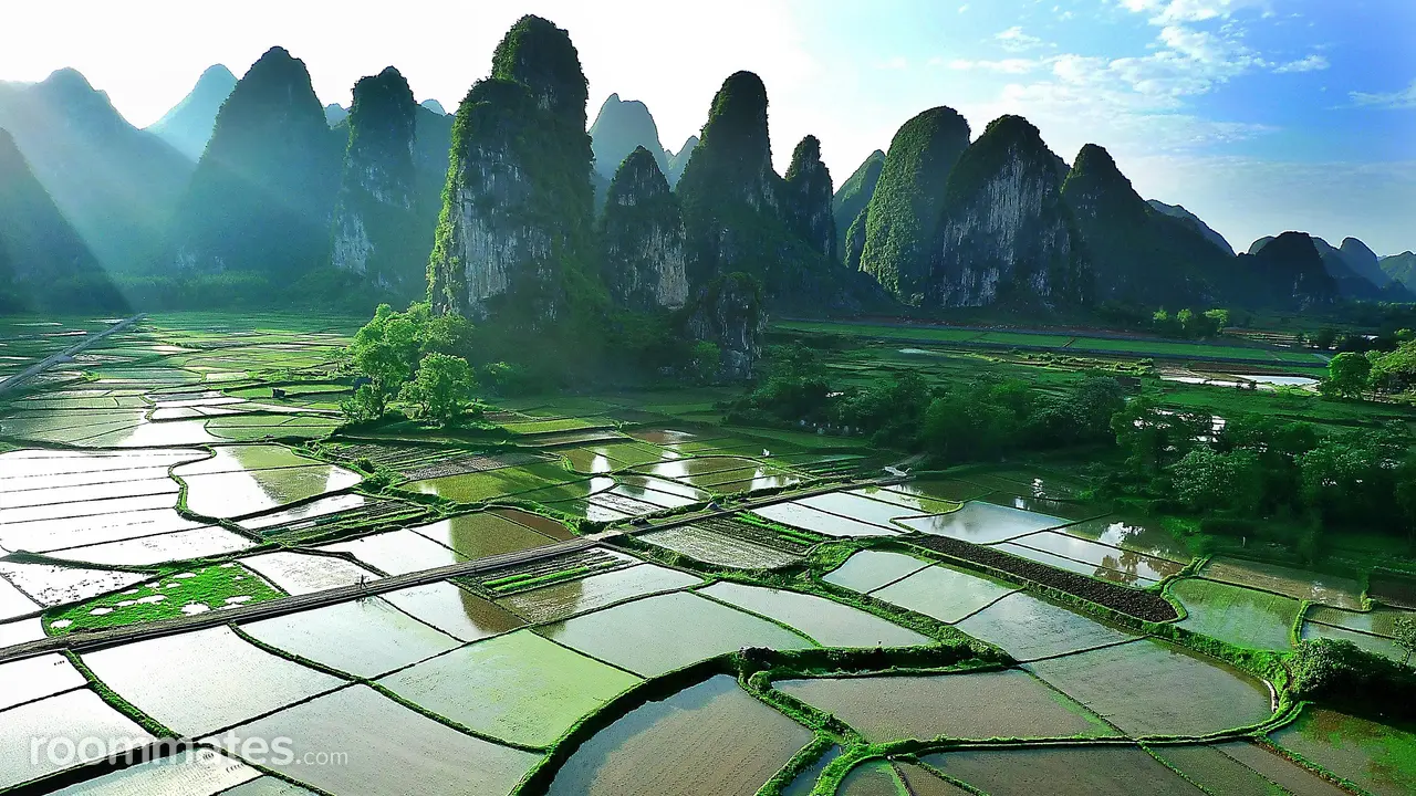 Room for rent in Monument, CO $900, apartment