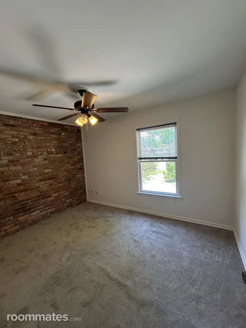 Profile photo 5 of 11