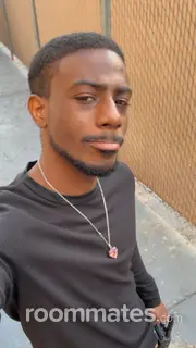 Roommate looking Peoria, IL, $500