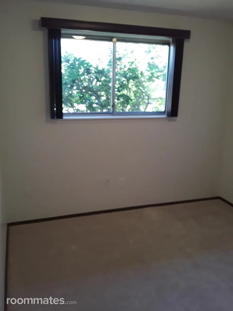 Profile photo 6 of 11