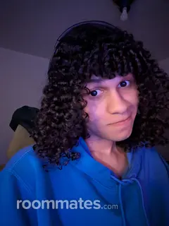 Roommate looking Detroit, MI, $400