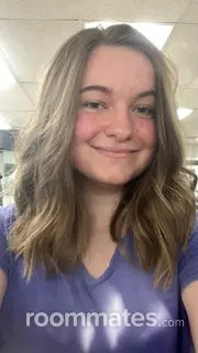 Roommate looking Minneapolis, MN, $800